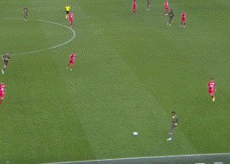 1666472639878068602.gif 动画 (4383).gif